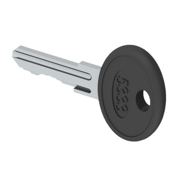 SCHRACK 2 Schlüssel EK 333 gleichschließend für Halbzylinder-Einsatz