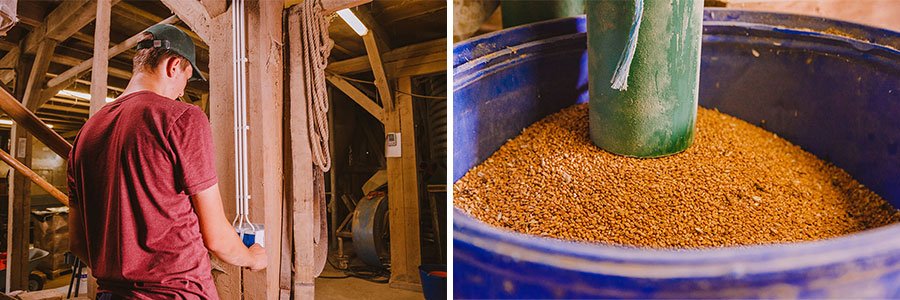 grain extraction