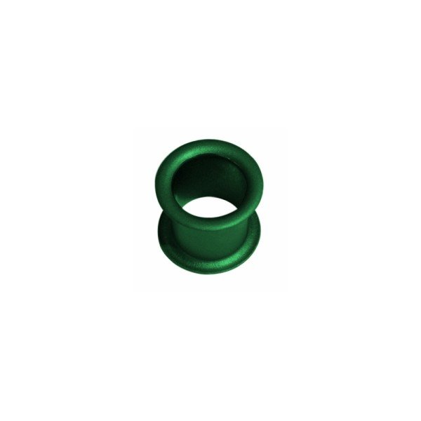 Schrack D02-Passhülse Neozed 6A grün